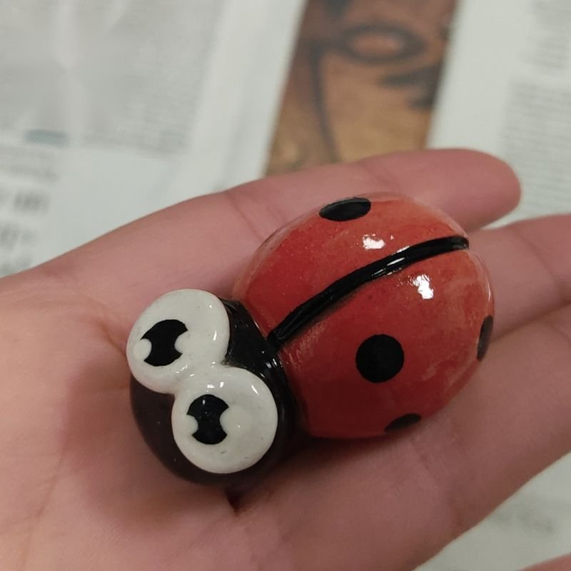 Coccinella