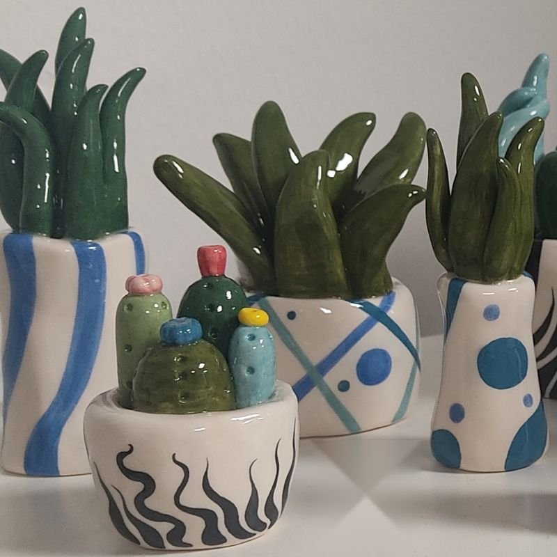 Piantine - Gruppo 5