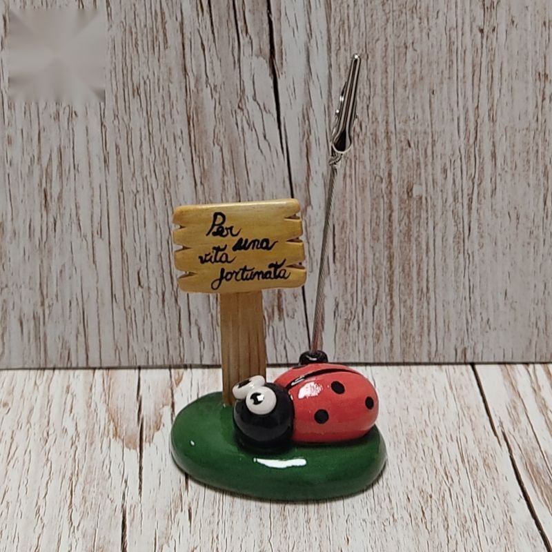 Portafoto con coccinella