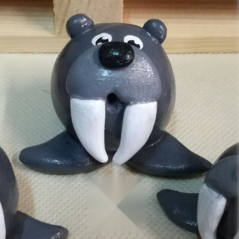 Tricheco